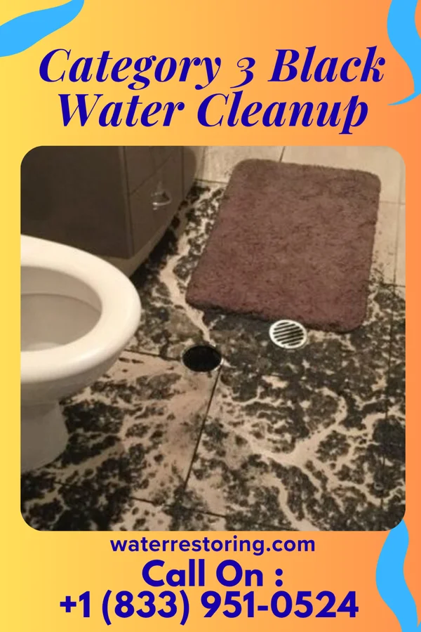 Category 3 Black Water Cleanup in Oak Run, IL