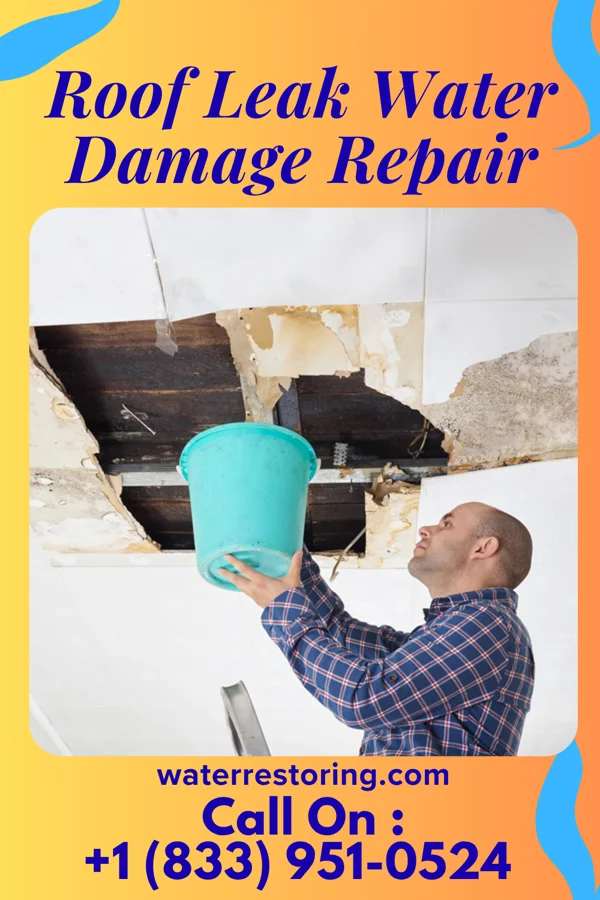 Roof Leak Water Damage Repair in Oak Run, IL
