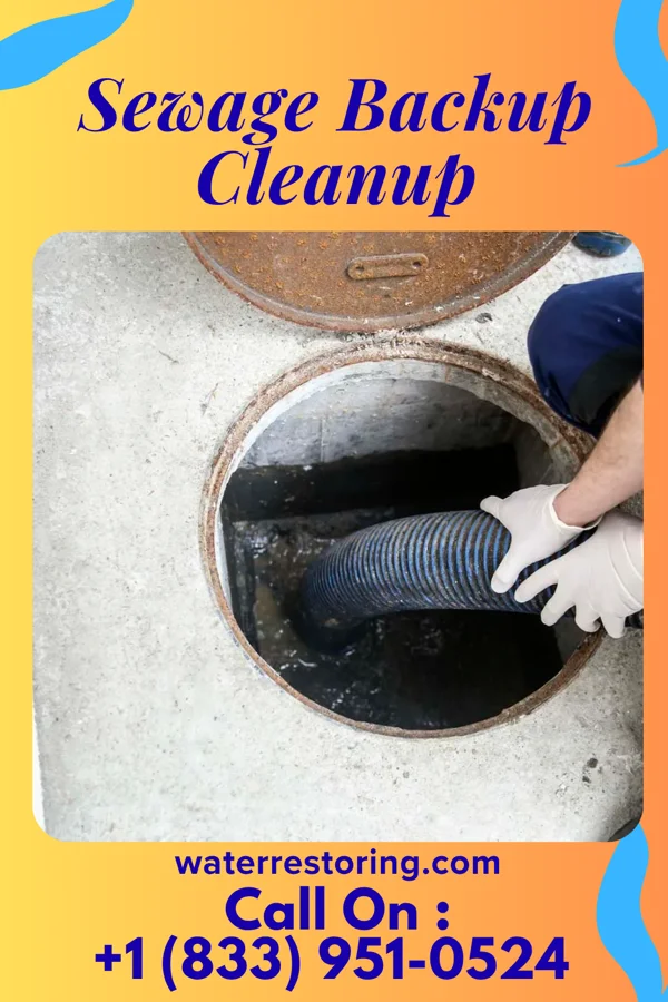 Sewage Backup Cleanup in Oak Run, IL