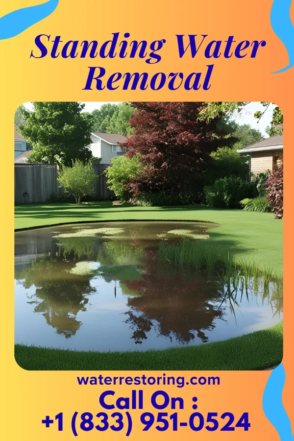 Standing Water Removal in Oak Run, IL